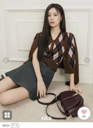 스나이델