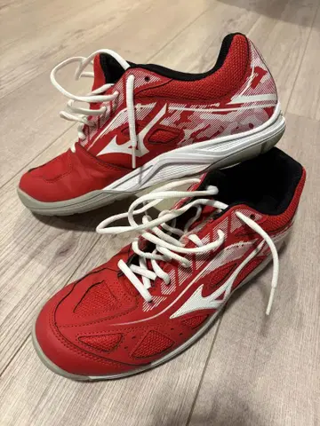미즈노/Mizuno 남성용 테니스화 레드 27.5cm 실내용