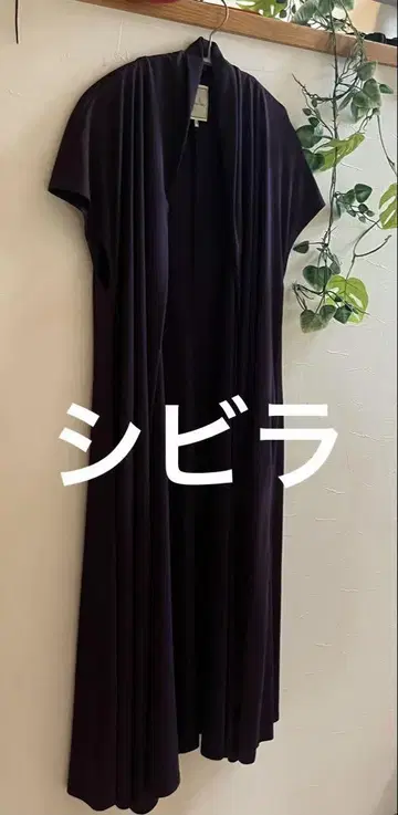 시빌라 롱베스트 퍼플