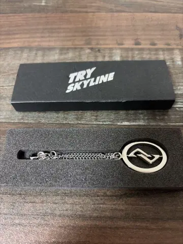 TRY SKYLINE 키링