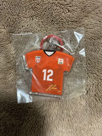 배구 메지루시 참 타카하시 란