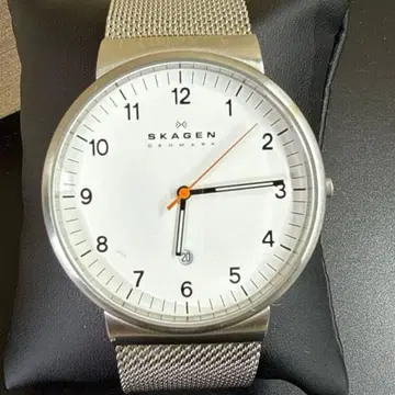 손목시계 SKAGEN 스카겐 SKW6024 3 쿼츠 데이트