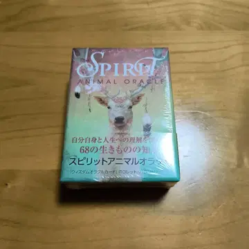 스피릿 애니멀 오라클 2020년