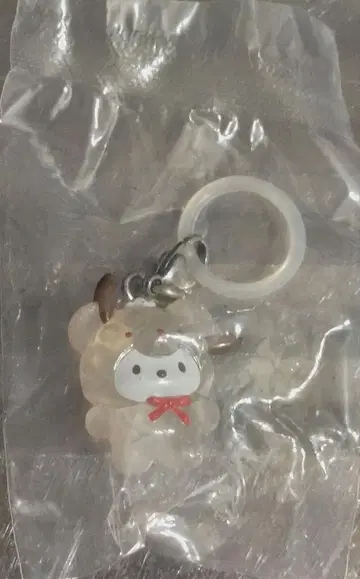 산리오 메지루시 액세서리 라떼곰 포차코