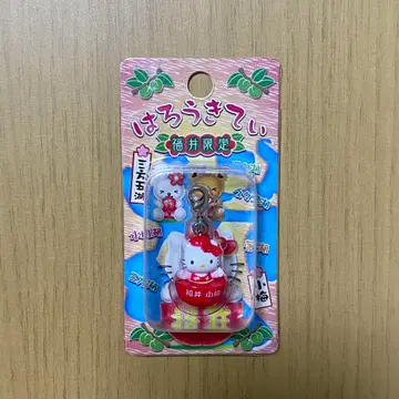 [ 18-11 ] 지역 한정 키티 후쿠이 한정판 코우메