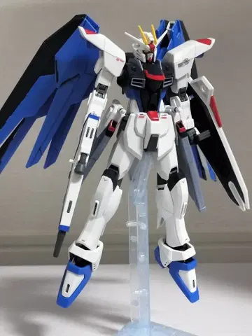 HGCE 프리덤