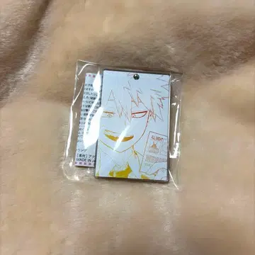 히로아카 슬라이드 아크릴 키링 바쿠고 카츠키