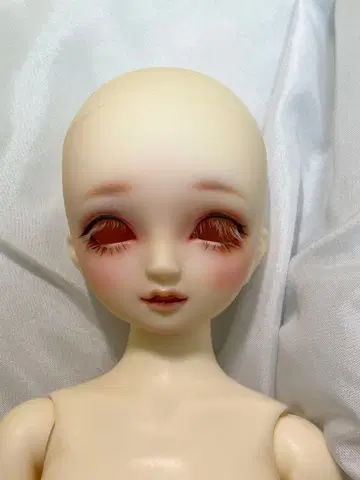 보크스 sdm62 코디네이트 모델 본체 인형