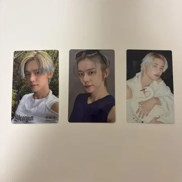 영준 트레이딩 카드