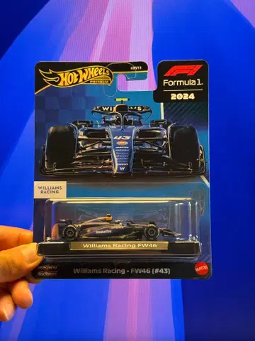 윌리엄스 레이싱 FW46 (#43)