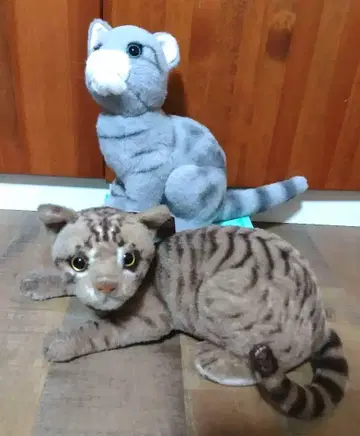 리얼 캣 봉제 인형 2