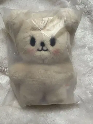 퍼핌 승민 팝업 스탠딩 러쉬 네이비 PuppyM
