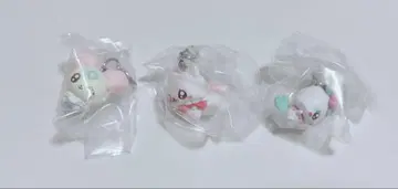 푸치큐아 쉬폰 코메코메 시프레