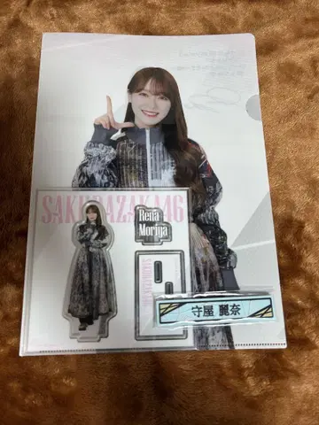 사쿠라자카 복권 모리야 레이나 묶음 판매