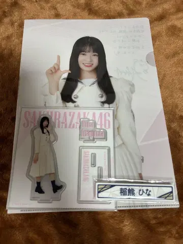 사쿠라자카 복권 이나쿠마 히나 묶음 판매