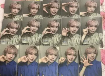 팬더드래곤 타이거 트레이딩 카드 전곡 라이브 파라곤 토부 동물공원