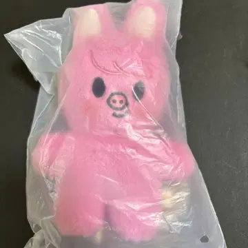 straykids 플러시 스탠딩 창빈 skzoo