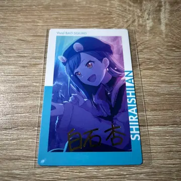 프로세카 에피카 시라이시 안 금박