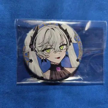 FGO fes.2025 영기 소환 캔뱃지 신규 일러스트 서번트 릴리스