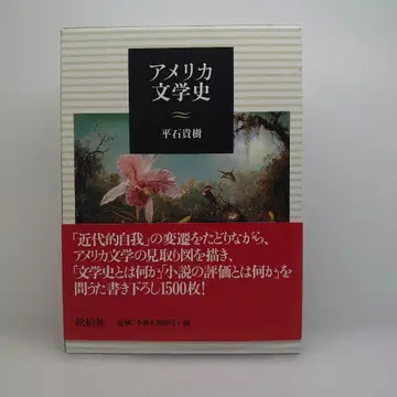 미국 문학사