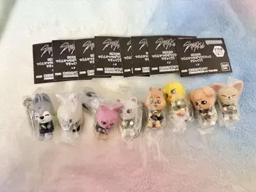 skzoo 츳마은데츠나게테마스코토 디럭스 컴프 세트 straykids