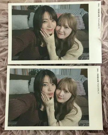 아야카는 히로코 선배를 좋아해 아야히로 포토 카드 카토 시호 모리칸나