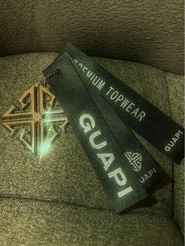 GUAPI 로고 택