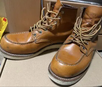 레드윙 9875 아이리쉬 세터 골드러셋 8D 복각견택