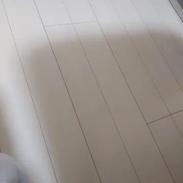 푹신푹신 가브샤크 BIG 상어 봉제 인형 그레이