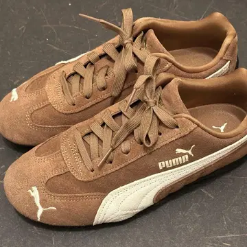 PUMA 스피드 캣 브라운