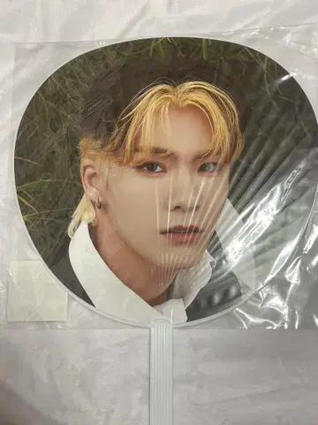 타니구치 타이치 START of the QUEST 부채