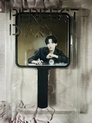 PERFECT DIARY 미치에다 슌스케 거울
