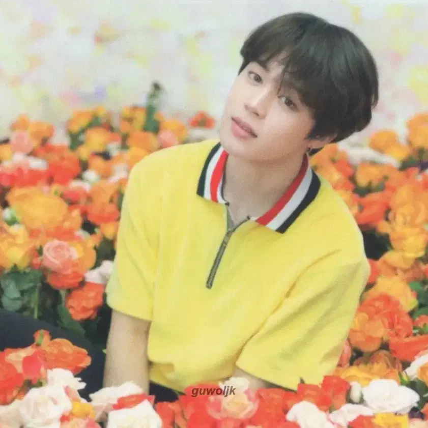 Bangtan Bts jimin Japan Love Yourself concert poca bulk