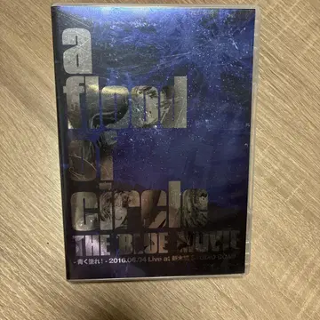 a flood of circle THE BLUE MOVIE