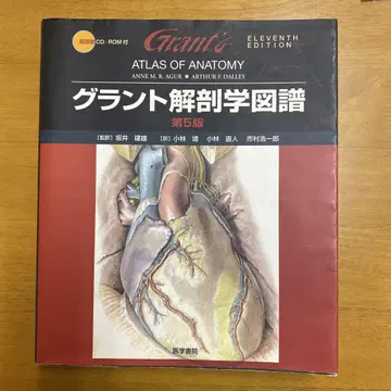 그랜트 해부학 도보