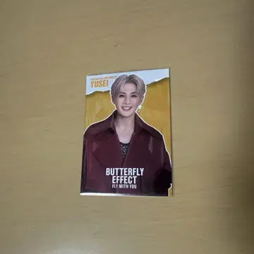 BUTTERFLY EFFECT 포토 카드