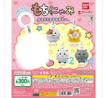 모치냐미 메지루시 액세서리 세트