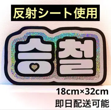 seventeen 세부치 에스크프스 승철 네임보드