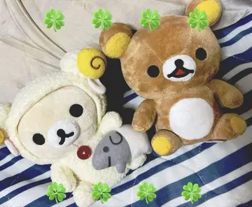 리락쿠마 코리락쿠마 양 버전 과거의 것 레어