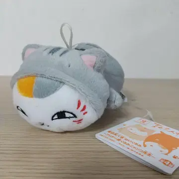 새상품 나츠메 우인장 봉제 인형 ~귀여운 인형옷 냥코 선생님~