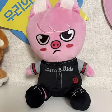 스키즈 에코파 사후 통신 판매 봉제 인형 돼끼