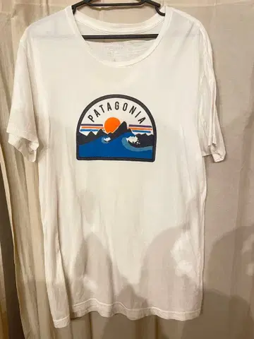 Patagonia T셔츠