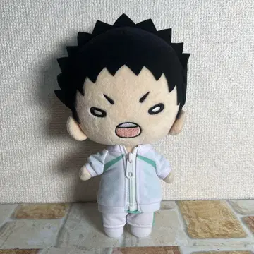 하이큐!! 니토탄 빅 봉제 인형 이와이즈미