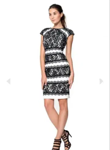 Tadashi Shoji 레이스 원피스 다이앤 폰 파스텐버그