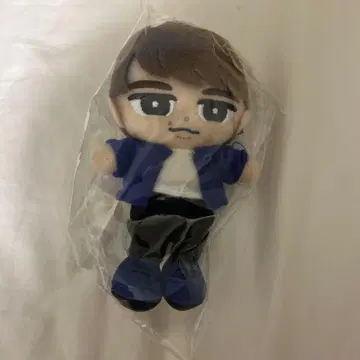 와타나베 쇼타 치비누이