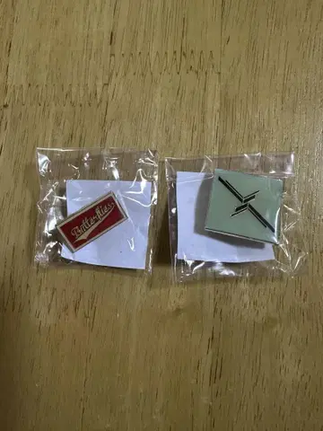 BUMP OF CHICKEN 핀 배지 2개 세트
