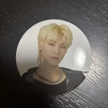 SEVENTEEN 캔뱃지 디노