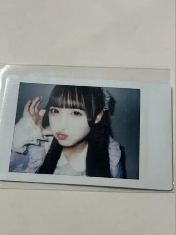 와카바노아 란체키 수국