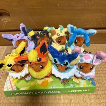 판초를 입은 이브이 전종 세트