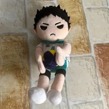 하이큐!! 쁘띠 파라다이스 봉제 인형 이와이즈미